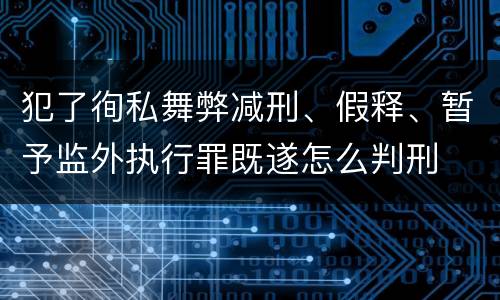 犯了徇私舞弊减刑、假释、暂予监外执行罪既遂怎么判刑