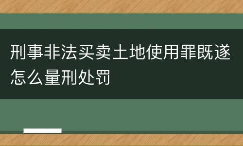 刑事非法买卖土地使用罪既遂怎么量刑处罚