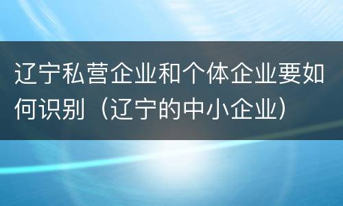 辽宁私营企业和个体企业要如何识别（辽宁的中小企业）