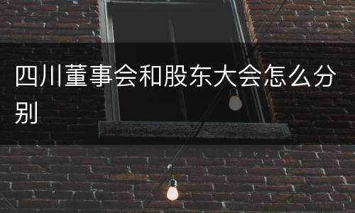四川董事会和股东大会怎么分别