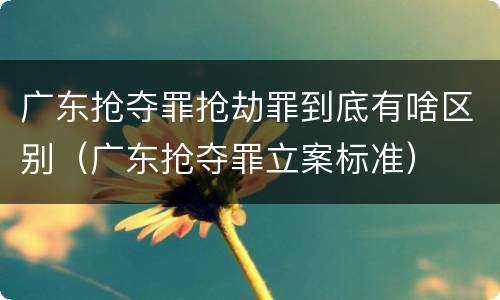 广东抢夺罪抢劫罪到底有啥区别（广东抢夺罪立案标准）