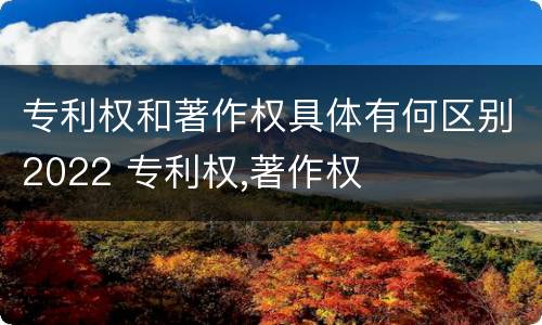 专利权和著作权具体有何区别2022 专利权,著作权