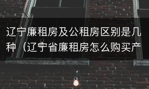 辽宁廉租房及公租房区别是几种（辽宁省廉租房怎么购买产权）