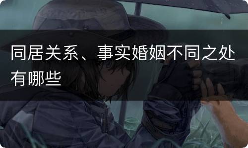 同居关系、事实婚姻不同之处有哪些