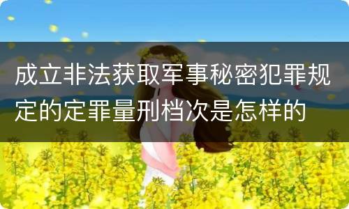 成立非法获取军事秘密犯罪规定的定罪量刑档次是怎样的