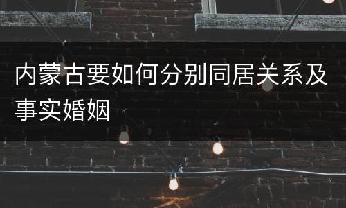 内蒙古要如何分别同居关系及事实婚姻