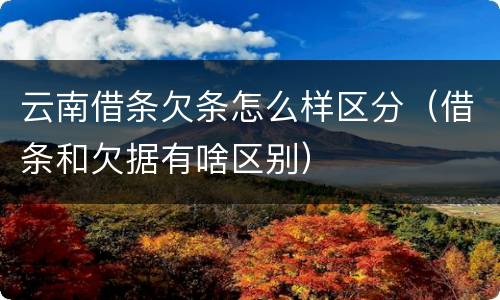 云南借条欠条怎么样区分（借条和欠据有啥区别）