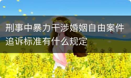 刑事中暴力干涉婚姻自由案件追诉标准有什么规定