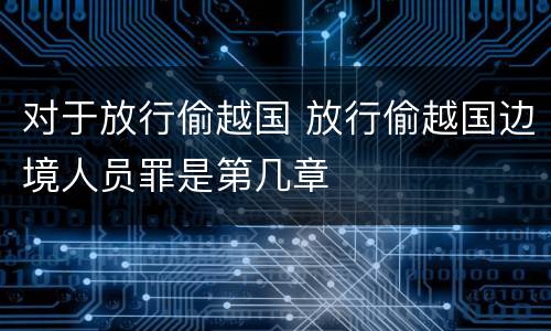 对于放行偷越国 放行偷越国边境人员罪是第几章