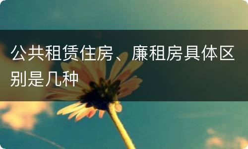 公共租赁住房、廉租房具体区别是几种