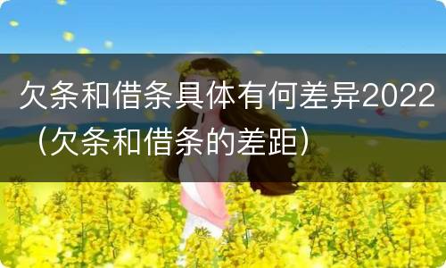 欠条和借条具体有何差异2022（欠条和借条的差距）
