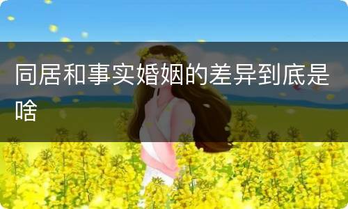 同居和事实婚姻的差异到底是啥
