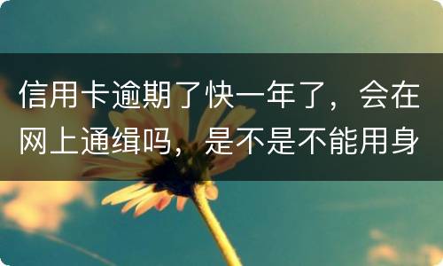 信用卡逾期了快一年了，会在网上通缉吗，是不是不能用身份证了