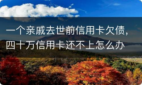 一个亲戚去世前信用卡欠债，四十万信用卡还不上怎么办