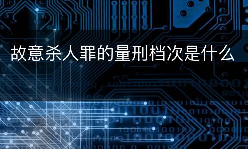 故意杀人罪的量刑档次是什么
