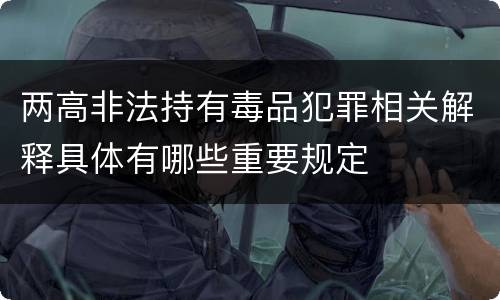 两高非法持有毒品犯罪相关解释具体有哪些重要规定