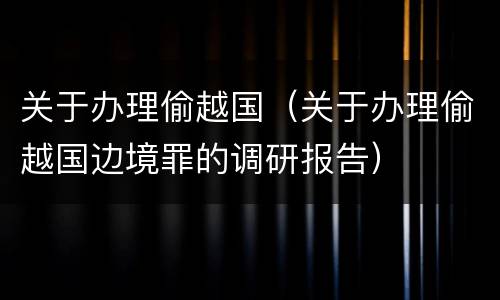 关于办理偷越国（关于办理偷越国边境罪的调研报告）