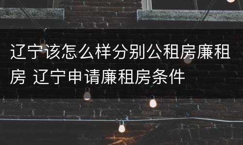 辽宁该怎么样分别公租房廉租房 辽宁申请廉租房条件