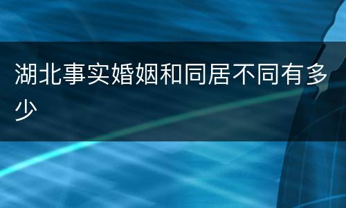 湖北事实婚姻和同居不同有多少