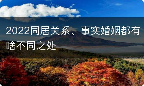 2022同居关系、事实婚姻都有啥不同之处
