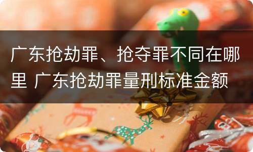 广东抢劫罪、抢夺罪不同在哪里 广东抢劫罪量刑标准金额