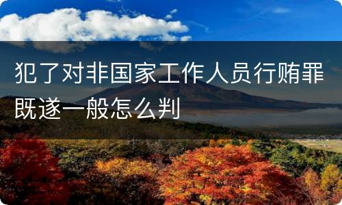 犯了对非国家工作人员行贿罪既遂一般怎么判