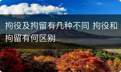 拘役及拘留有几种不同 拘役和拘留有何区别