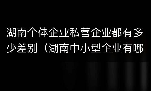 湖南个体企业私营企业都有多少差别（湖南中小型企业有哪些）