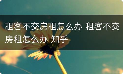 租客不交房租怎么办 租客不交房租怎么办 知乎