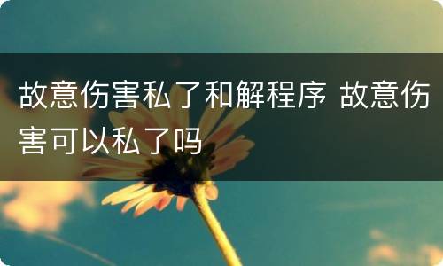 故意伤害私了和解程序 故意伤害可以私了吗