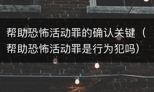 帮助恐怖活动罪的确认关键（帮助恐怖活动罪是行为犯吗）