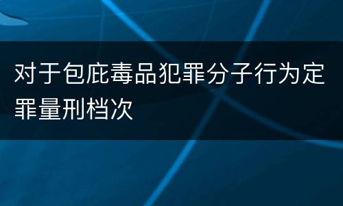 对于包庇毒品犯罪分子行为定罪量刑档次