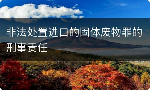 非法处置进口的固体废物罪的刑事责任