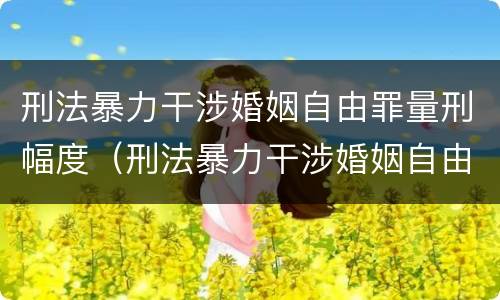 刑法暴力干涉婚姻自由罪量刑幅度（刑法暴力干涉婚姻自由罪量刑幅度大吗）