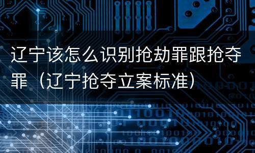 辽宁该怎么识别抢劫罪跟抢夺罪（辽宁抢夺立案标准）