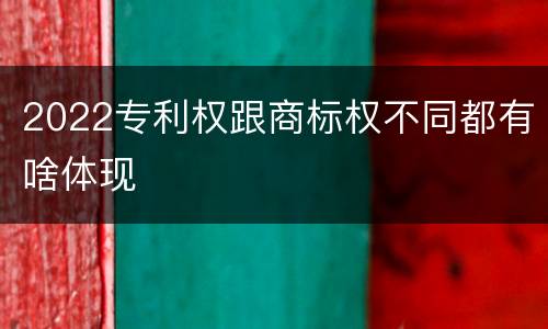 2022专利权跟商标权不同都有啥体现