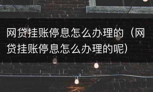 网贷挂账停息怎么办理的（网贷挂账停息怎么办理的呢）