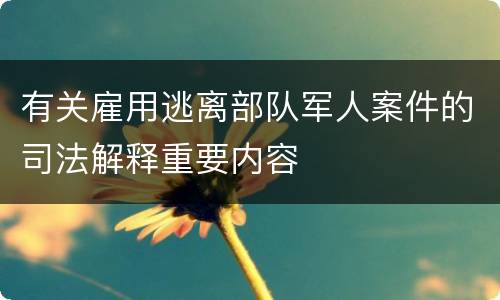 有关雇用逃离部队军人案件的司法解释重要内容