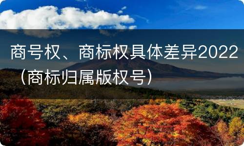 商号权、商标权具体差异2022（商标归属版权号）