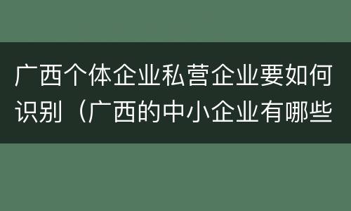 广西个体企业私营企业要如何识别（广西的中小企业有哪些）