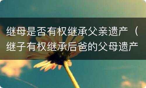 继母是否有权继承父亲遗产（继子有权继承后爸的父母遗产）