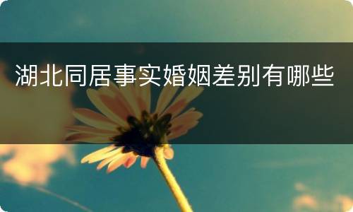 湖北同居事实婚姻差别有哪些