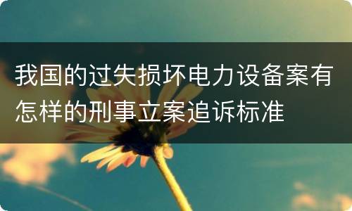 我国的过失损坏电力设备案有怎样的刑事立案追诉标准