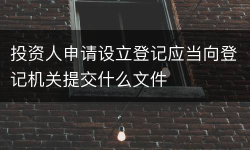 投资人申请设立登记应当向登记机关提交什么文件
