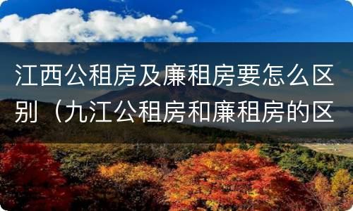 江西公租房及廉租房要怎么区别（九江公租房和廉租房的区别）
