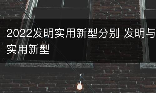 2022发明实用新型分别 发明与实用新型
