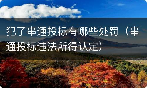 犯了串通投标有哪些处罚（串通投标违法所得认定）