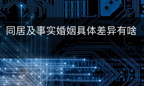 同居及事实婚姻具体差异有啥