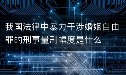我国法律中暴力干涉婚姻自由罪的刑事量刑幅度是什么