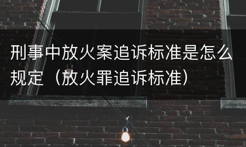 刑事中放火案追诉标准是怎么规定（放火罪追诉标准）